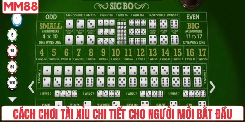 Cách chơi Tài xỉu chi tiết cho người mới bắt đầu tại MM88