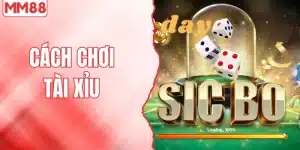 Cách chơi tài xỉu